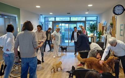 Hundebesuch im Veronika-Haus