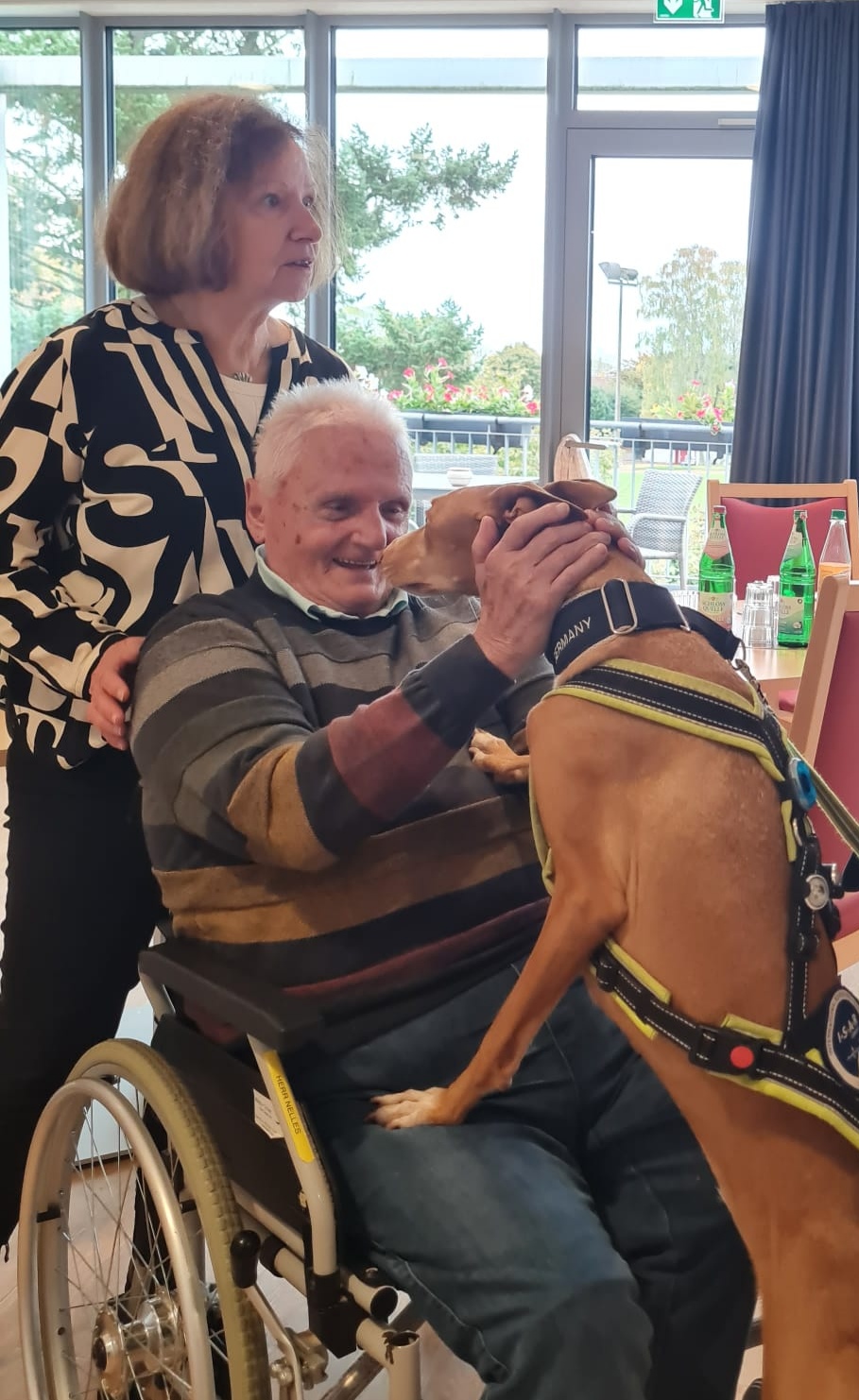 Ein älterer Mann im Rollstuhl streichelt einen braunen Hund mit Therapiegeschirr, der seine Vorderpfoten auf den Schoß des Mannes gelegt hat. Eine Frau steht lächelnd daneben. Im Hintergrund sind Fenster mit Blick auf eine Terrasse sowie ein gedeckter Tisch mit Wasserflaschen zu sehen.