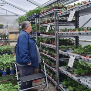 Bewohnerinnen und Bewohner beim Ausflug zum Bauernmarkt Lindchen