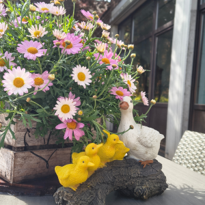 Holzkiste mit rosa und weißen Margeriten auf einer Terrasse, dekoriert mit einer Gänsefigur und drei gelben Küken.