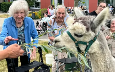 Alpakabesuch im Veronika-Haus Rindern