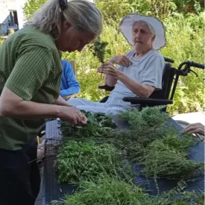 Eine Mitarbeiterin verarbeitet gemeinsam mit einer älteren Bewohnerin frisch geerntete Kräuter an einem Gartentisch.