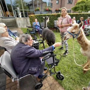 Eine sitzende ältere Frau hält einem hellen Alpaka einen Zweig hin. Weitere Menschen und ein zweites Alpaka sind im Garten versammelt.