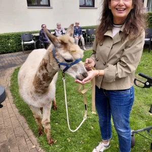 Eine lächelnde Frau füttert ein helles Alpaka aus ihrer Hand und hält seine Führleine. Im Hintergrund sitzen drei ältere Frauen.