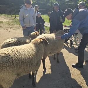 Ein älterer Mann streichelt eines von drei Schafen. Weitere Personen stehen und sitzen im Rollstuhl um die Tiere.