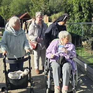 Vier Frauen, eine im Rollstuhl und eine mit Rollator, betrachten ein Tiergehege hinter einer Glasscheibe.