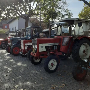 Mehrere historische Traktoren stehen unter Bäumen in einer Reihe, darunter rote International- und ein blauer Hanomag-Traktor.
